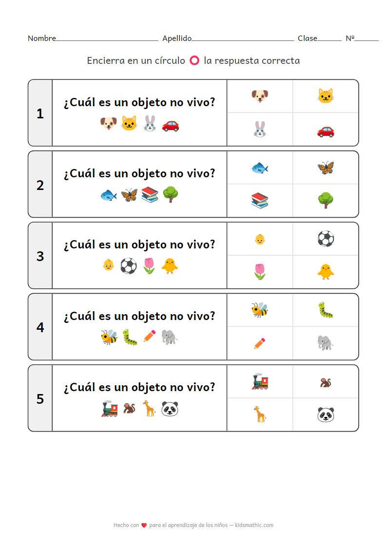 Hoja de trabajo de clasificación de cosas no vivas para preescolares
