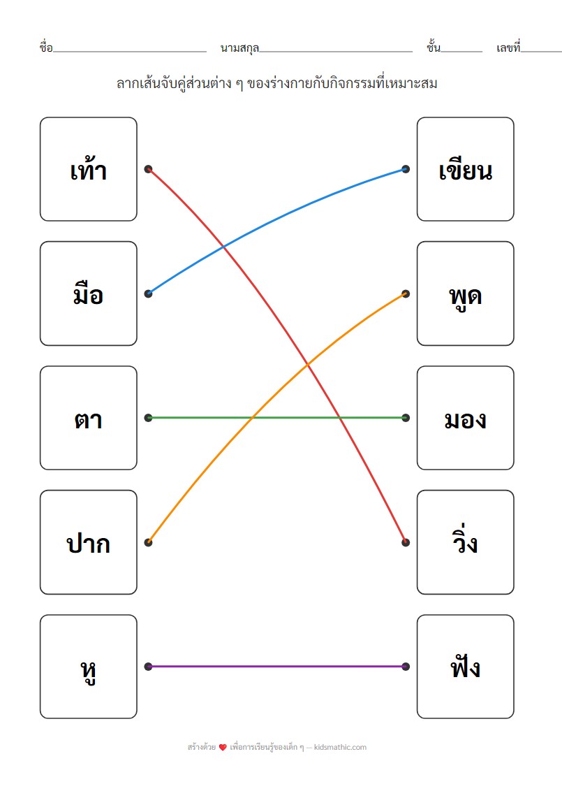 จับคู่ส่วนต่าง ๆ ของร่างกายกับกิจกรรม - Answer